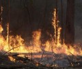 МЧС предупреждает вышневолочан о высокой пожарной опасности с 18 по 19 августа