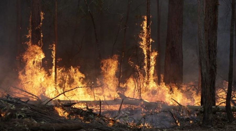 МЧС предупреждает вышневолочан о высокой пожарной опасности с 18 по 19 августа