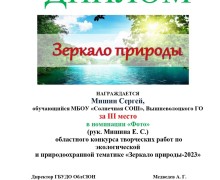Вышневолоцкие школьники получили дипломы регионального этапа Всероссийского заочного конкурса детского творчества «Зеркало природы»