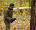 Следственный комитет проводит проверку по факту обнаружения костных останков в районе Бухаловского переезда