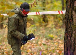 Следственный комитет проводит проверку по факту обнаружения костных останков в районе Бухаловского переезда