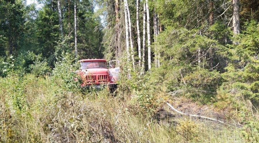 Сотрудники МЧС потушили тление лесной подстилки в Вышневолоцком ГО