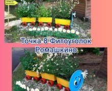 В Зеленогорском детском саду создана экологическая тропа