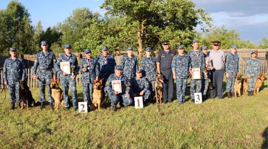 В командном зачете кинологи ИК-5 Вышнего Волочка показали лучшие результаты