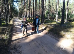 В Вышневолоцком округе сотрудники МЧС снова вывели из чащи заплутавшего грибника