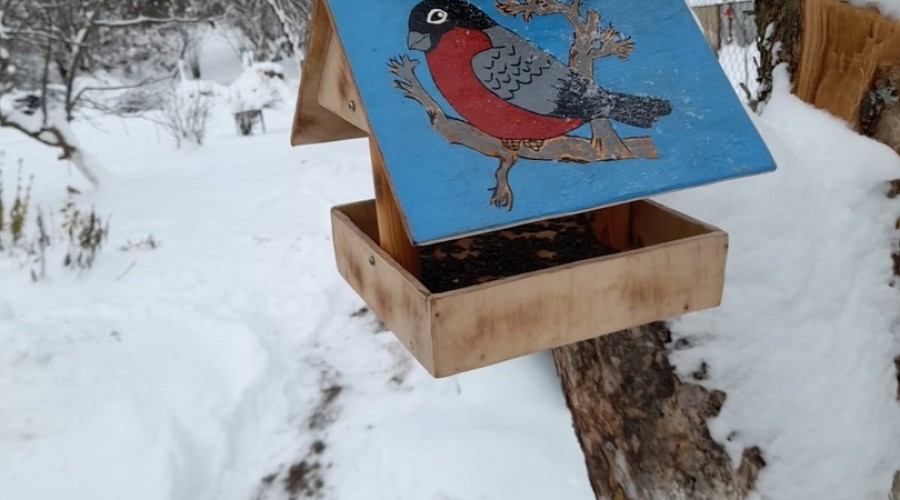 Юные натуралисты Вышневолоцкого городского округа сделали больше 200 кормушек для птиц