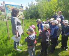 Воспитанники детского сада №9 Вышнего Волочка прошли по экологической тропе