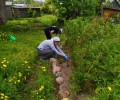 Вышневолоцкие школьники во время каникул помогают на «Станции юных натуралистов» 