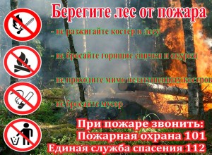 В Вышневолоцком городском округе установлен особый противопожарный режим