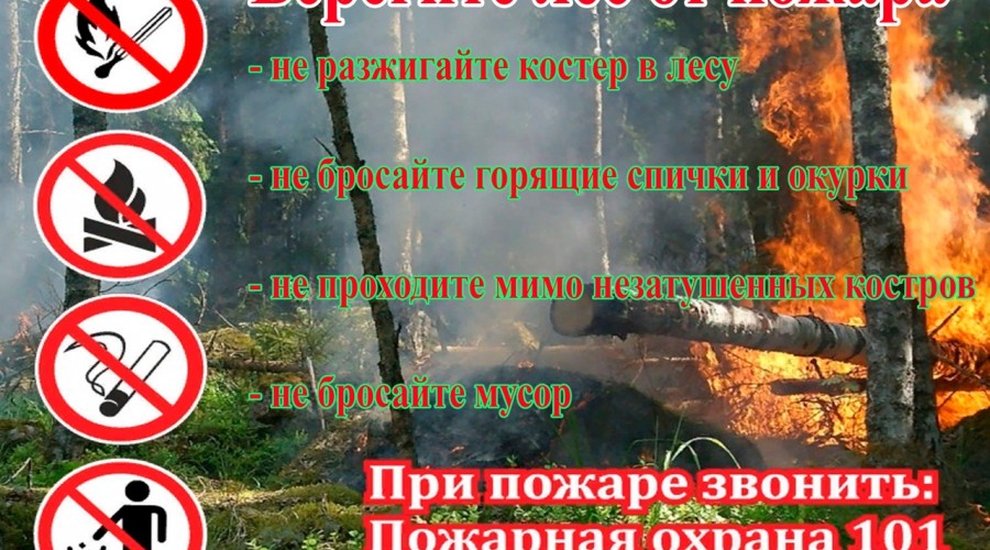 В Вышневолоцком городском округе установлен особый противопожарный режим