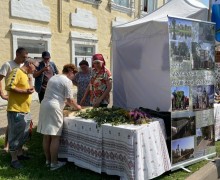 Вышневолоцкое панно из трав заинтересовало участников праздника в Великом Устюге