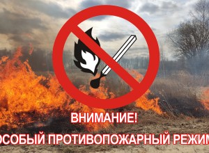 На территории Вышневолоцкого городского округа введён особый противопожарный режим