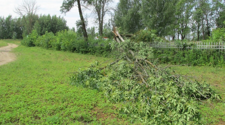 Последствия урагана в микрорайоне Горка Вышний Волочёк